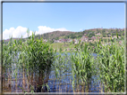 foto Lago della Serraia